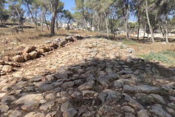Student Visit to a Roman Road Excavation in the Galilee
