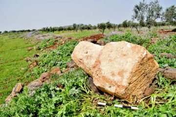אבן מיל על הכביש הרומי פתולמאיס-דיוקיסריה-טבריה