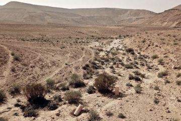 Six milestone Stations Discovered in the Negev along the Petra-Gaza Incense Route